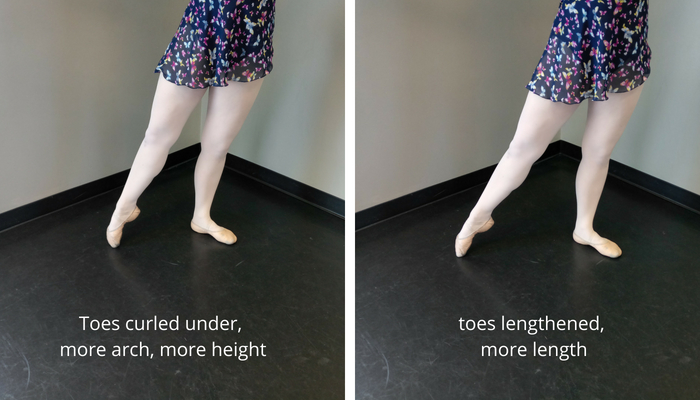 tendu length