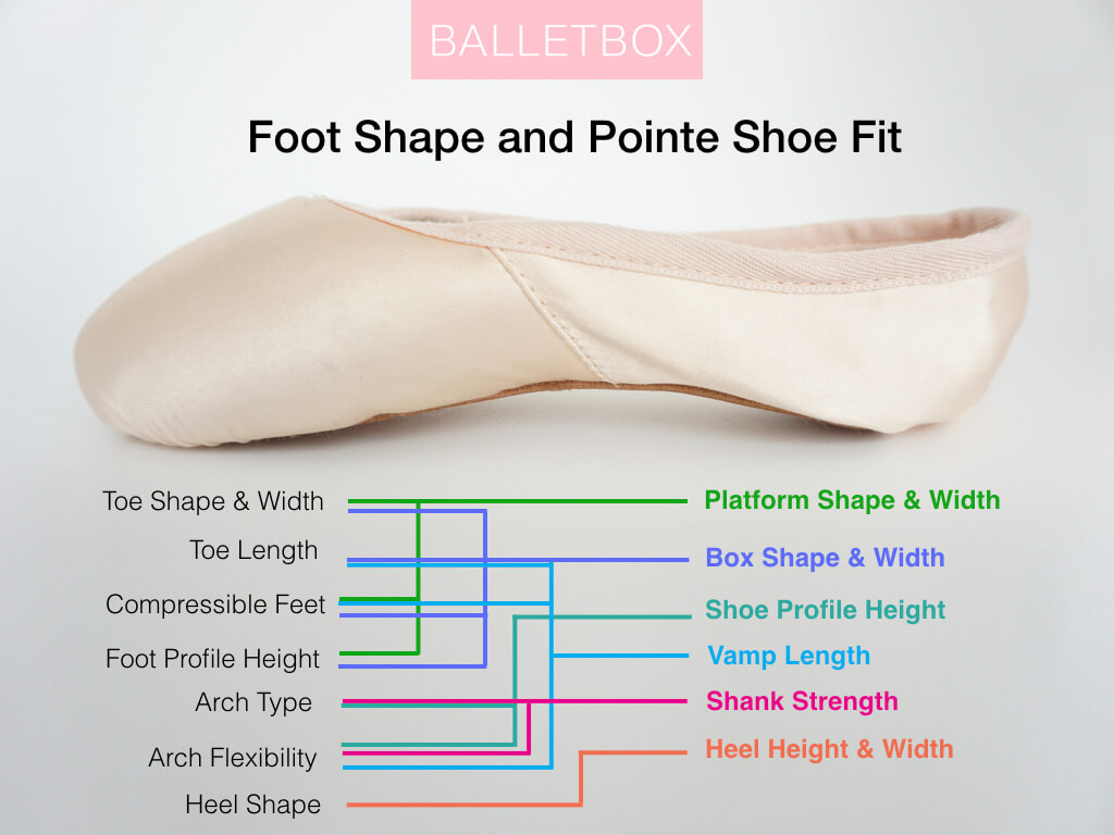 pointe shoe fitting to feet